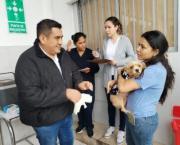 Santa Cruz vacunó a 656.833 perros y gatos y refuerza la lucha contra la rabia