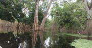 Santa Cruz: Anuncian intervención en puntos críticos del río San Julián, tras pérdidas de 17 toneladas de granos