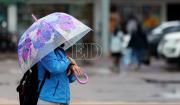Todos Santos en Santa Cruz: ¿Cómo estará el clima el fin de semana largo?