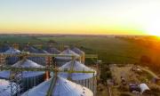 Gobierno invertirá $us 60 millones en la construcción de una planta industrializadora de soya