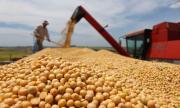 Cadena productiva de soya y granos mueve $us 1.600 millones en 2021, un 38% más que año anterior