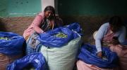 Bolivia busca un balance entre el uso tradicional de la hoja de coca y la lucha antidrogas