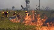 Instruyen priorizar investigaciones sobre incendios forestales