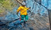 Incendios forestales se reducen de 70 a 56 gracias a las lluvias