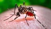 Salud alertó a los turistas que vuelven de Brasil para que estén atentos ante síntomas de dengue