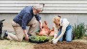 Los mejores trucos de jardinero para proteger tus plantas en invierno