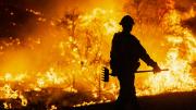 Ingentes esfuerzos para contener el nuevo incendio al norte de Los Ángeles  