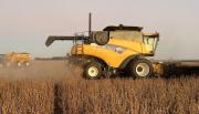 La baja de retenciones no beneficia a los productores de maíz de Salta