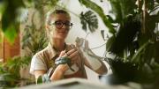 Los secretos del jardinero para salvar una planta con exceso de agua y devolverle la vitalidad