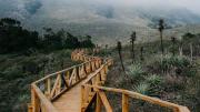 El Parque Nacional de Chile con senderos imponentes y paisajes maravillosos