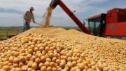 Mercado de cereales: cómo afectará la baja de retenciones y el escenario global a los productores argentinos