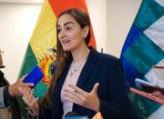 Disputas internas en el MAS son distracciones
