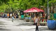 Calor agobiante en San Juan: la temperatura llegÃ³ a los casi 42 grados