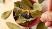 Feng Shui: qué sucede si junto laurel con azúcar