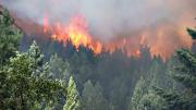 Incendios en Epuyen y El Bolsón: confirman que fueron intencionales