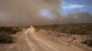 Incendio extinguido en zona rural de Puerto Madryn