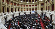 Triunfo oficialista: Diputados le dio media sanción a Ficha Limpia