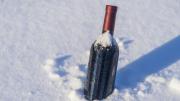 ¿Se congeló el vino en el freezer? Sigue este consejo para poder disfrutarlo