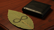 Rituales: ¿qué significa escribir en una hoja de laurel el símbolo del infinito y dónde hay que ubicarla?