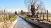 Se presentaron 4 empresas para modernizar un canal de riego en el Valle de Uco