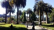 Dólar retrocede en Chile: cómo conviene pagar