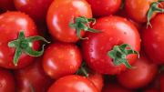 Ni frutero ni nevera: el truco para guardar los tomates y que no se estropeen