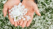 Alerta de granizo en la ciudad de Mendoza este miércoles 5 de febrero