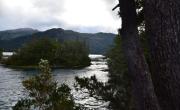 La belleza imponente del Parque Nacional Los Alerces