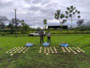 Beni: interceptan bus con más de 66 kilos de marihuana camuflada en carga de papa