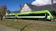 Semana Santa en Bariloche: cuánto cuesta el pasaje del Tren Patagónico