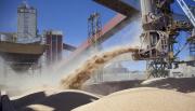 El campo aportaría este año más de US$30.000 millones