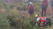 Milagroso rescate: Bomberos de Regina le salvaron la vida a un caballo que estuvo horas atrapado en un desagüe