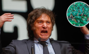 Otra provocación del Gobierno de Milei: ahora, apuntan contra la ley del Aborto