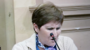 Diputados reeditó el debate sobre el terrorismo estatal 