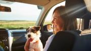 La lista de 5 países más elegidos por argentinos para viajar con sus mascotas