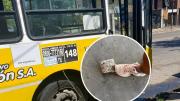 Una niña lucha por la vida tras recibir un piedrazo en la cabeza cuando viajaba en colectivo