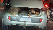 Un conductor llevaba a un niño en el baúl abierto de su auto y provocó indignación