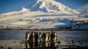 Los aranceles de Donald Trump sorprenden a una isla en la que sólo viven focas y pingüinos