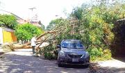 Fuertes vientos que azotan Santa Cruz continuarán hasta el lunes
