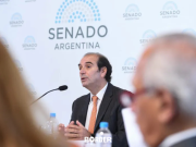 Tergiversación inaceptable: Mansilla apuntó con el Senado
