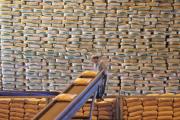 Sector sucroalcoholero: “Hay que apoyar en todo lo necesario para lograr que el mercado se acomode”
