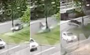 VIDEO. Impresionante accidente en Camino Centenario: se estrelló contra un poste y volcó