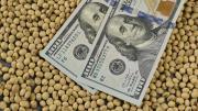 Fin del cepo cambiario: los exportadores le ponen precio al dólar para comenzar a liquidar