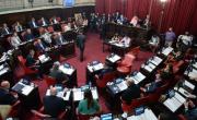 El Senado de PBA aprobó la suspensión de las PASO bonaerenses
