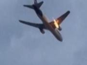 No es un ave: el insólito animal que terminó en el motor de un avión y causó un incendio en pleno vuelo