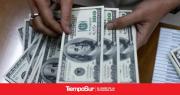 Rápido derrumbe de la compra de dólares luego de que se disparó el día de la apertura del cepo