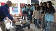 Fósiles en la terminal de Roca y un nuevo atractivo: el Espacio de Estudios Paleontológicos