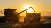 Las demandas del agro por retenciones llegan a Diputados: apuran proyectos para extender bajas de alícuotas