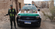 Importante operativo contra la caza y pesca ilegal dejó 20 infracciones y aves rescatadas