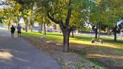 Sábado con clima de otoño agradable y ascenso de la temperatura